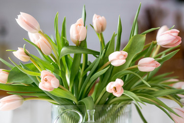 Similar image 22332852