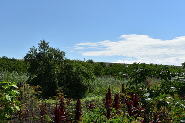 Similar image 22319801