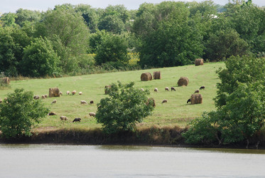 Similar image 22319802