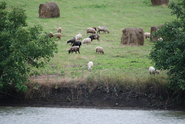 Similar image 22319803