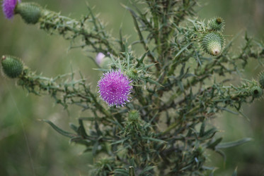 Similar image 22319804