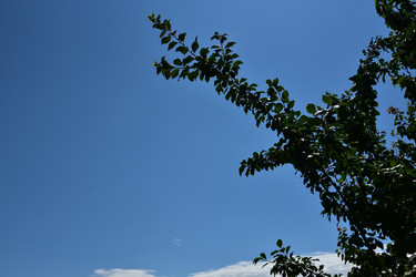 Similar image 22319808