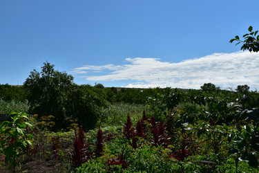 Similar image 22319809