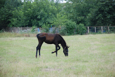 Similar image 22319816