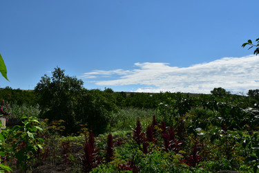 Similar image 22319818