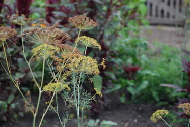 Similar image 22320130