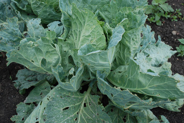 Similar image 22320131