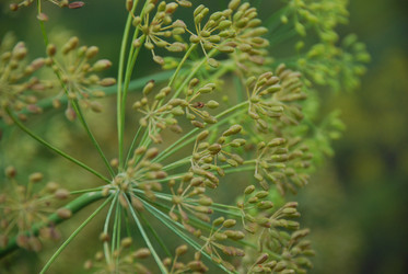 Similar image 22320133