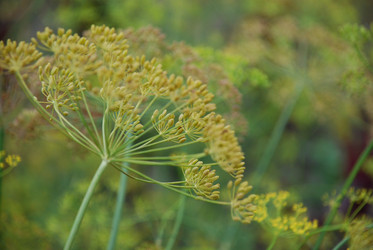 Similar image 22320134