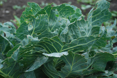 Similar image 22320135