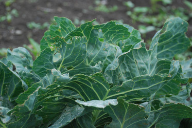 Similar image 22320136