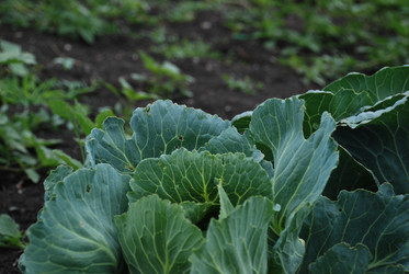 Similar image 22320137