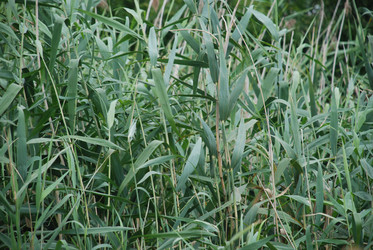 Similar image 22320139