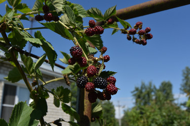 Similar image 22320141