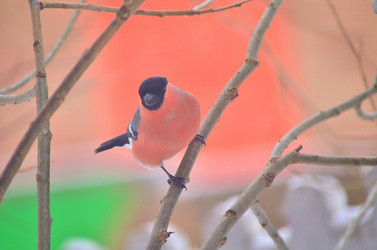 Similar image 22319828