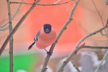 Similar image 22319829