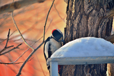 Similar image 22319830