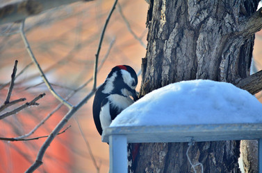 Similar image 22319831