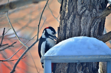 Similar image 22319832