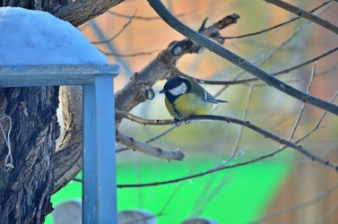 Similar image 22319833