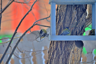 Similar image 22319838