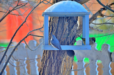 Similar image 22319840