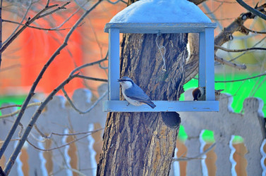 Similar image 22319841