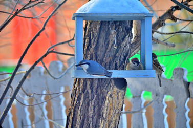 Similar image 22319842