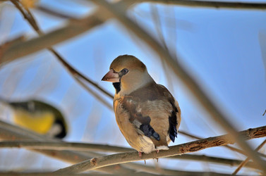 Similar image 22319843