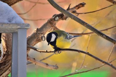 Similar image 22319844