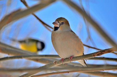 Similar image 22319846