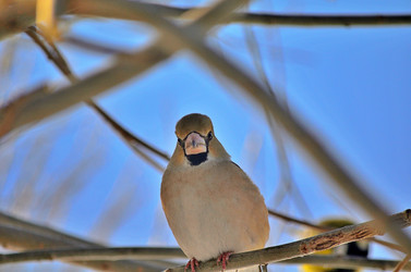 Similar image 22319847