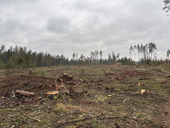 Similar image 22318623