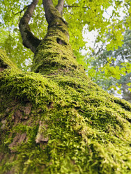 Similar image 22318626