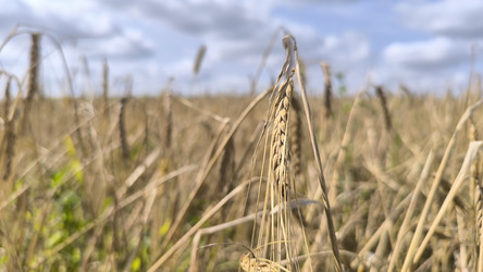 Similar image 22319854