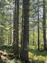 Similar image 22319856