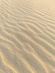 Similar image 22319858