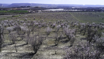 Similar image 22330638