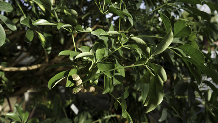 Similar image 22330641