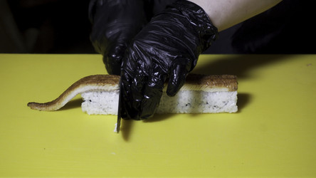 Similar image 22330643