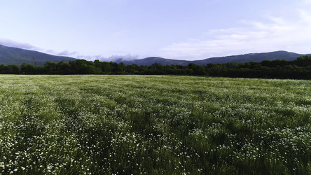 Similar image 22330645