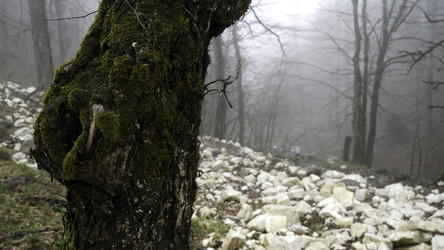 Similar image 22330648