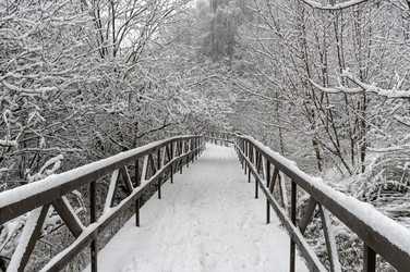 Similar image 22318338