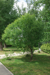 Similar image 22318342