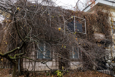 Similar image 22323471