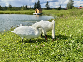 Similar image 22326919