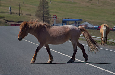 Similar image 22321687