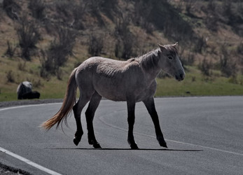 Similar image 22321689