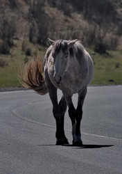 Similar image 22321690