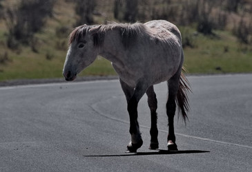 Similar image 22321691